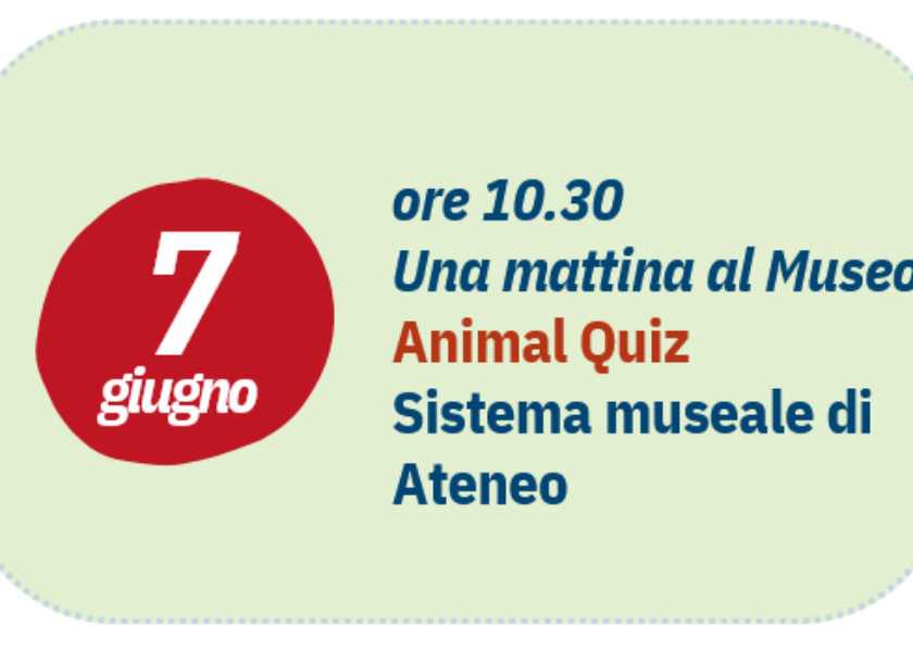 7 giugno